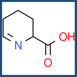 2,3,4,5-tetrahydropyridine-2-carboxylic acid